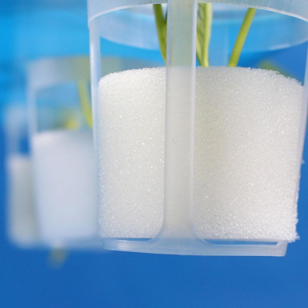 Orchid Pots Round Plastic 50Pcs Balcony Vegetable Soilless Cultivation