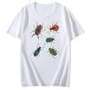Cottagecore Entomology Tee Vintage Bug TShirt Insect Praying Unisextis Top Gift for Insect Lover Scientific Aesthetic Beetle Shirt