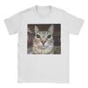 Silly Staring Cat Meme Mens T Shirts  Vintage Tees Short Sleeve Round Collar TShirts Pure Cotton Party Clothes