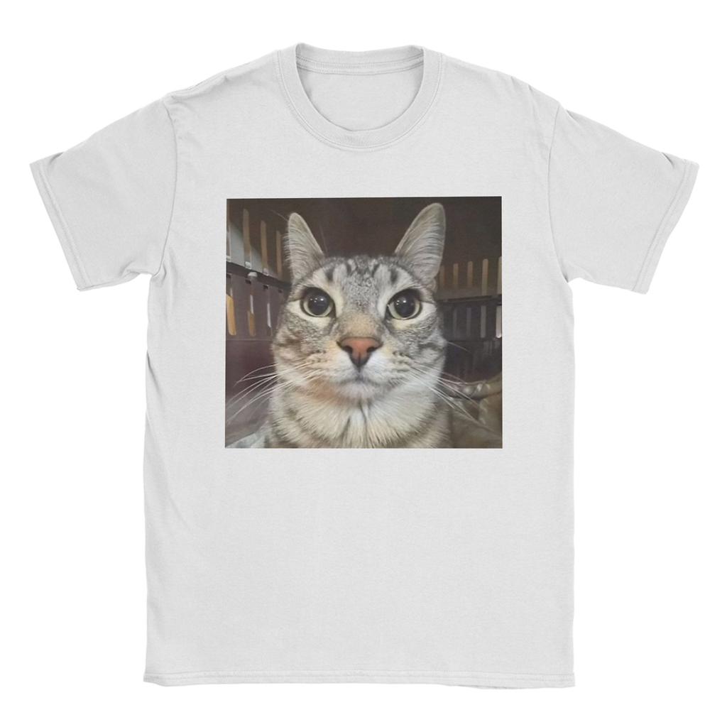 Silly Staring Cat Meme Mens T Shirts Vintage Tees Short Sleeve Round Collar TShirts Pure Cotton Party Clothes