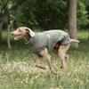 Thick Winter Dog Vest Coat Large Breeds Outdoor Waterproof Warm Cotton Padded Sleeveless Jacket