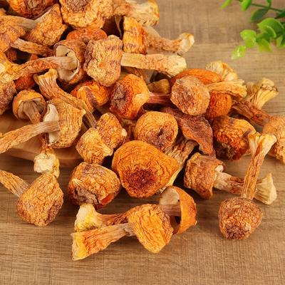 100g Top Grade Mushroom Brazil Jisongrong Dried Chinese Soup Ingredient