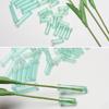 100/200Pcs PVC Flower Fresh-keeping Tube Cap Water Storage Tube Flower Arrangement Flower Water Tube Hydroponic Contain