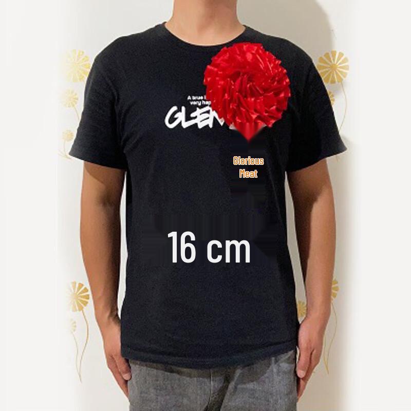 Набор брошей «Красный шелковый атлас  Ипомея »