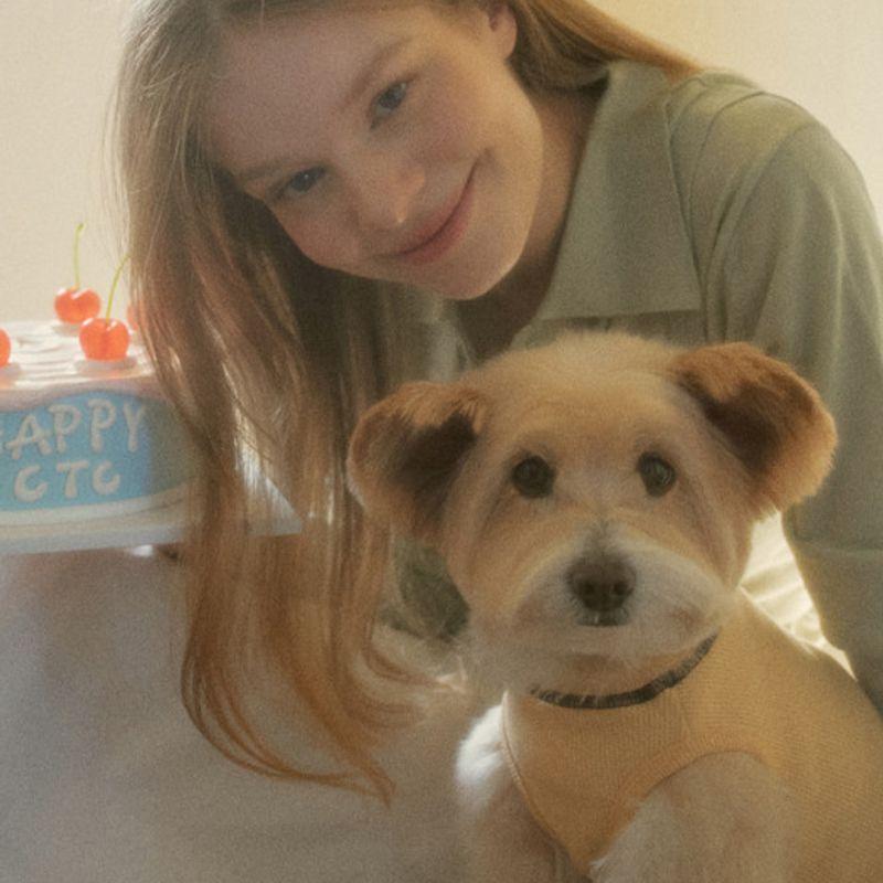 CROOKTHECHIHUAHUA T-shirt Gaufre Quotidien (3color)