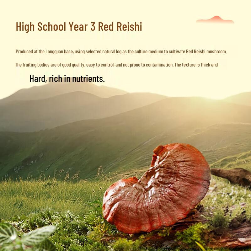 Kang En Bei Broken-Wall Reishi Spore Powder Gift Box