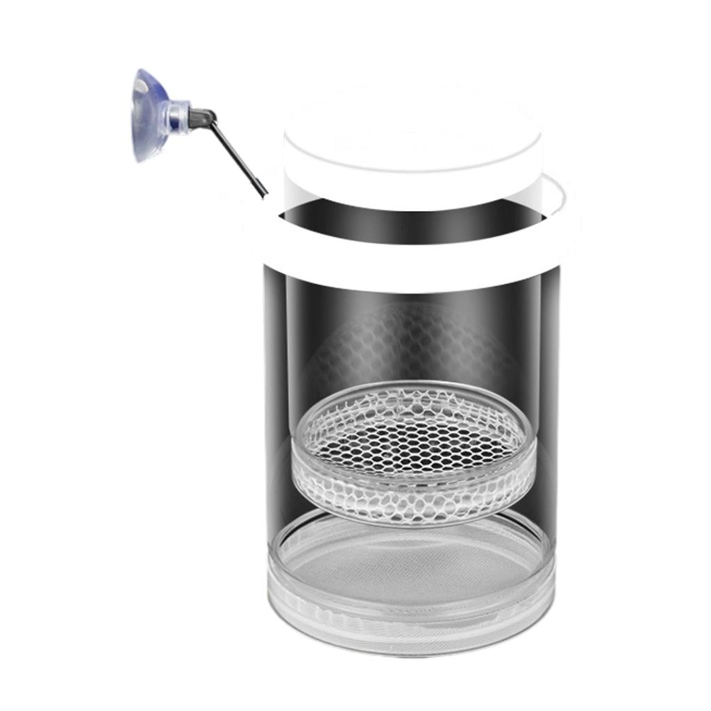 Floating Fish Breeding Box Plastic Mesh Design Safe Aquatic Habitat Isolation Tanks For Fry Shrimp Easy Setups Compacts