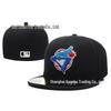 Toronto Blue Jays Flat Brim MLB Hat - Embroidered Team Baseball Cap