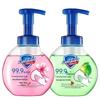 Safeguard Antibacterial Foaming Hand Soap