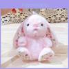 Rabbit Sitting Plush Keychain With Embroidered Flowers For Cute Collectible Gift