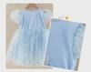 Elsa Princess Summer Dress: Frozen-inspired Tutu for Girls