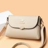 Spring and Summer New Women's One Shoulder Crossbody Handbag Bag Fashionable Commuting Casual Versatile Middle-aged Mother's Bag