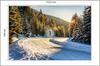 Photomural Winter Forest Non-Woven 152.5x104