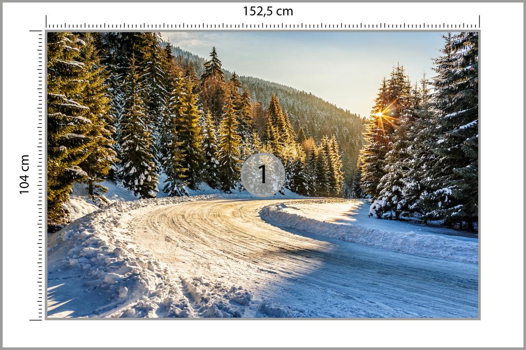 Photomural Winter Forest Non-Woven 152.5x104