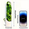 Herb Storage Container for Fridge, Vegetable Preservation Pod to Keep Coriander Mint Fresh 2-3 Weeks, Kitchen Gadget
