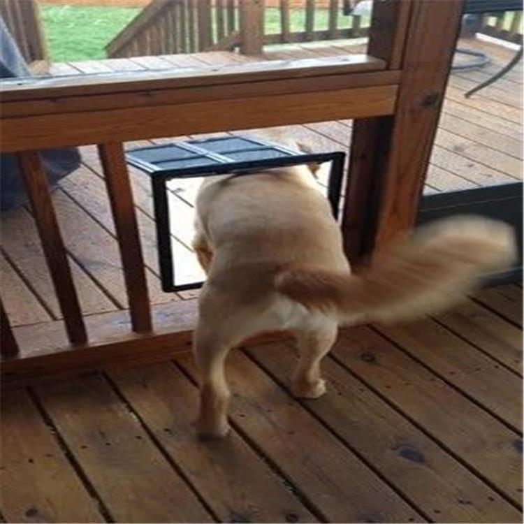 Anti-Bite Pet Screen Door: Small/Large Dog & Cat Entry with Anti-Mosquito Feature.