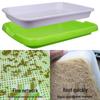 Hydroponic Seedling Tray for Soilless Growing: Vegetable, Bean, Wheat, Garlic Cultivation