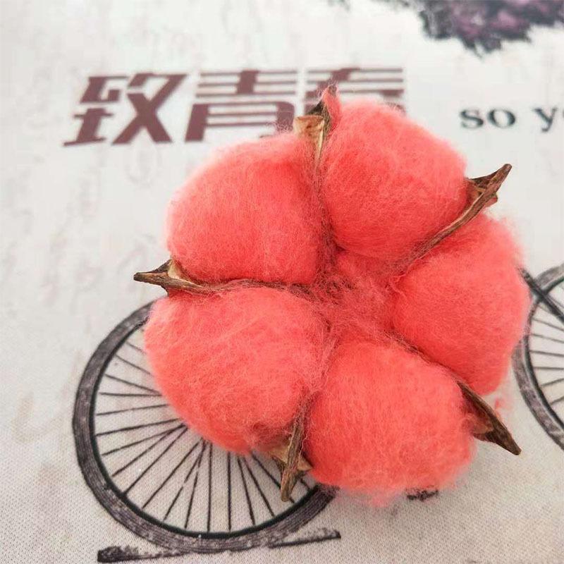 Natural Immortal Cotton Dried Flowers, Single Simulated Fake Flower Cotton Head Shooting Props Flower Arrangement Accessories Art Decoration