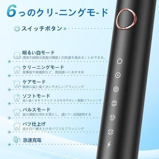 Electric Toothbrush Sonic Type Side-to-side Motion IPX7 Waterproof 6 Modes 8 Replacement Brushes Included Rechargeable Storage Case 2-minute Auto SW5