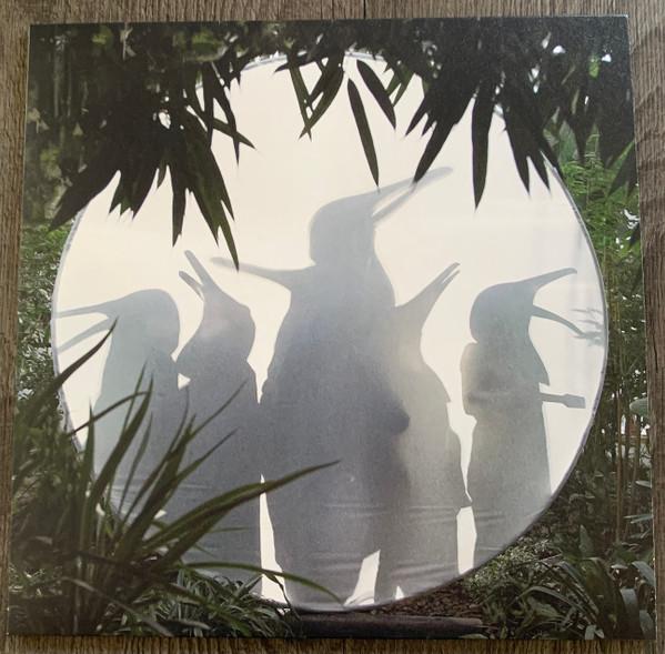 

LP Record PENGUIN CAFE Rain Before Seven... ERATP159 Erased Tapes Re 2023 UK Rock