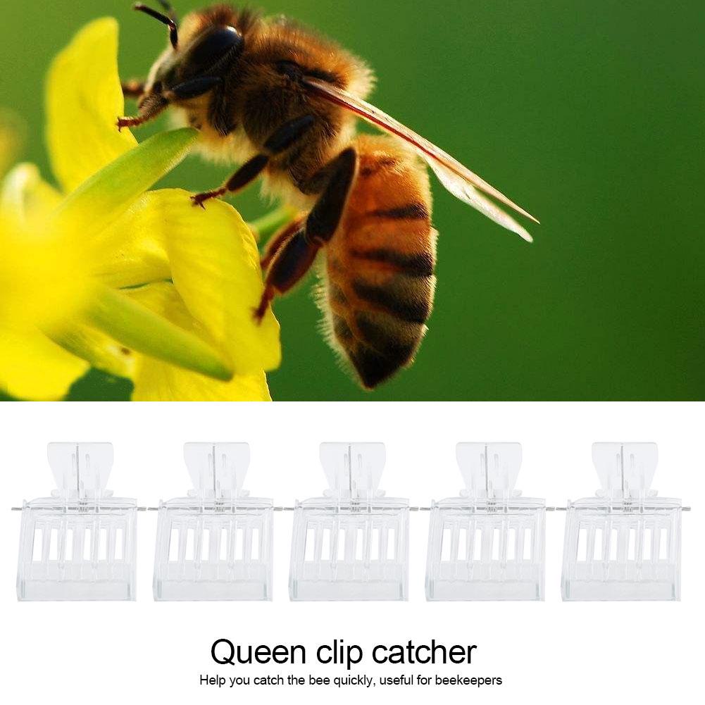 

5Pcs Plastic Queen Catching Clip Bee Catcher Cage Beekeeping Tool Equipment