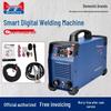 Dongcheng TIG-250 Industrial Inverter Argon Arc Welder CN Plug (adapter Included)