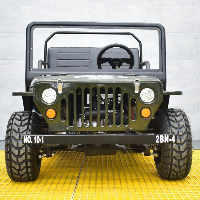 800W/1200W Electric Mini All-Terrain Children's UTV/ATV