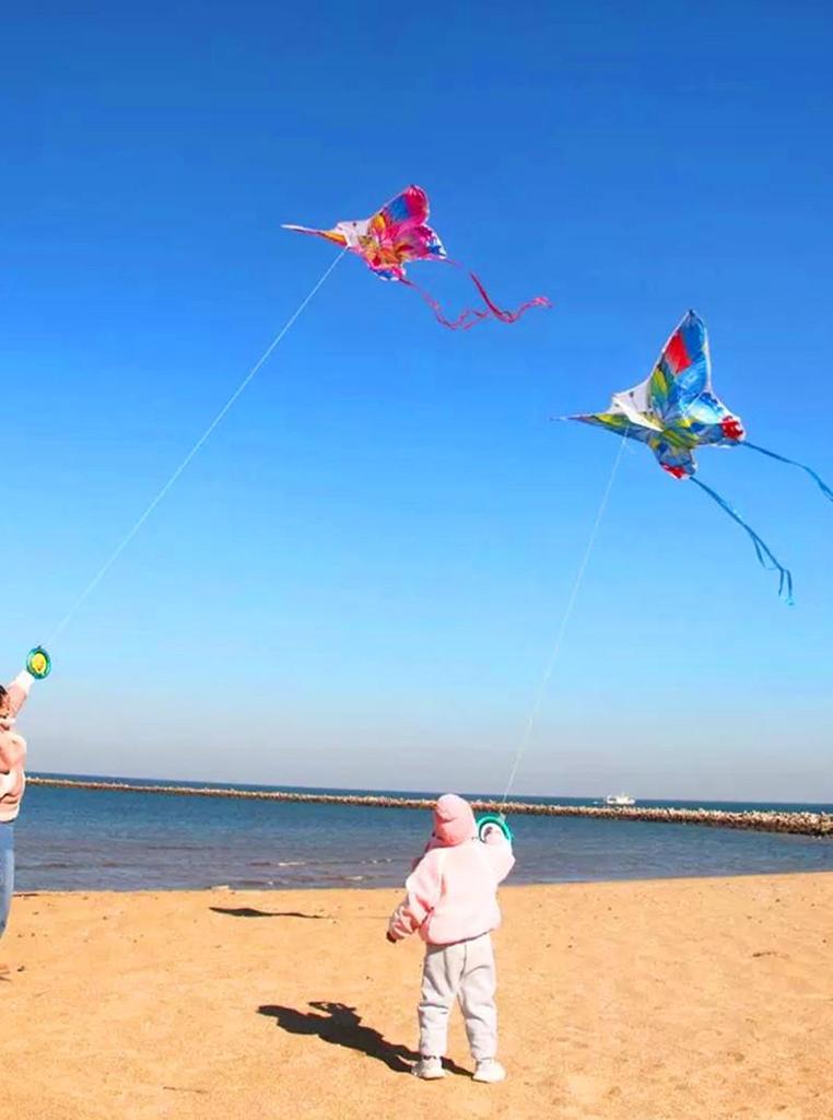 Colorful Wings Butterfly Kite: Easy-Fly Light Breeze for Adults & Kids - High-Grade Delta Design