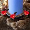 6/12Pcs Chicken Quail Hanging Water Cups Nipple Drinking Bowl Birds Water Bowl Drinker Cups for Backyard Automatic Poultry