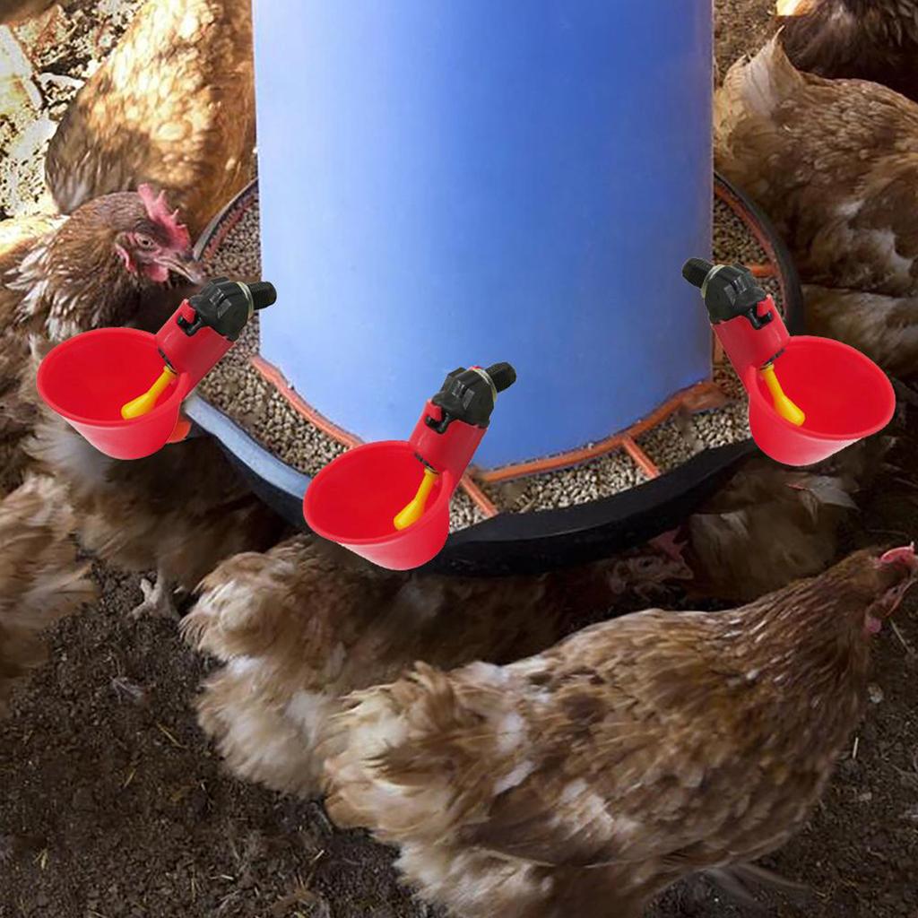 6/12Pcs Chicken Quail Hanging Water Cups Nipple Drinking Bowl Birds Water Bowl Drinker Cups for Backyard Automatic Poultry