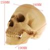 : 1 Human Resin Skull Decorative Halloween Skeleton Yellow