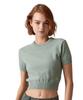 Short Sleeve Crop Sweater J224353 M SLATEGRAYPFF [Official Brand]