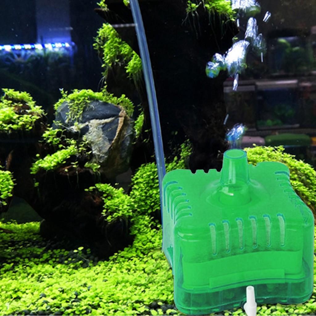 Fish Aquarium  Stone While Making Blister Help Filter Water