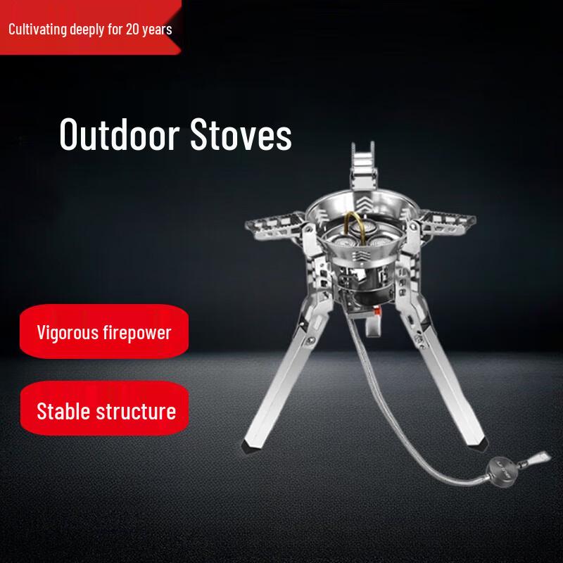 Portable Outdoor LPG Gas Stove