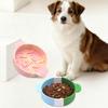 Köpek – Köpek Besleme ve Sulama Malzemeleri