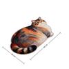 Ginger Cat Bathroom Carpet 40*60cm Bedroom Door Small Rug  Living Room Tea Table Bedside