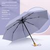 Color Plastic Automatic Foldable Compact Dual-Use Sun Umbrella