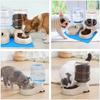 Pet Dog and Cat Water Feeding and Feeder Can Be Large Capacity Automatic Water Storage Water Feeder and Feeder