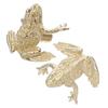 2Pcs Brass Toad Door Pulls Chinese Fortune Symbol Decorative Cabinet Handles Drawer Pulls for Kitchen Living Room Bedroom Brass