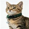 Adjustable Plaid Pet Collar Safety Release Buckle for Kittens