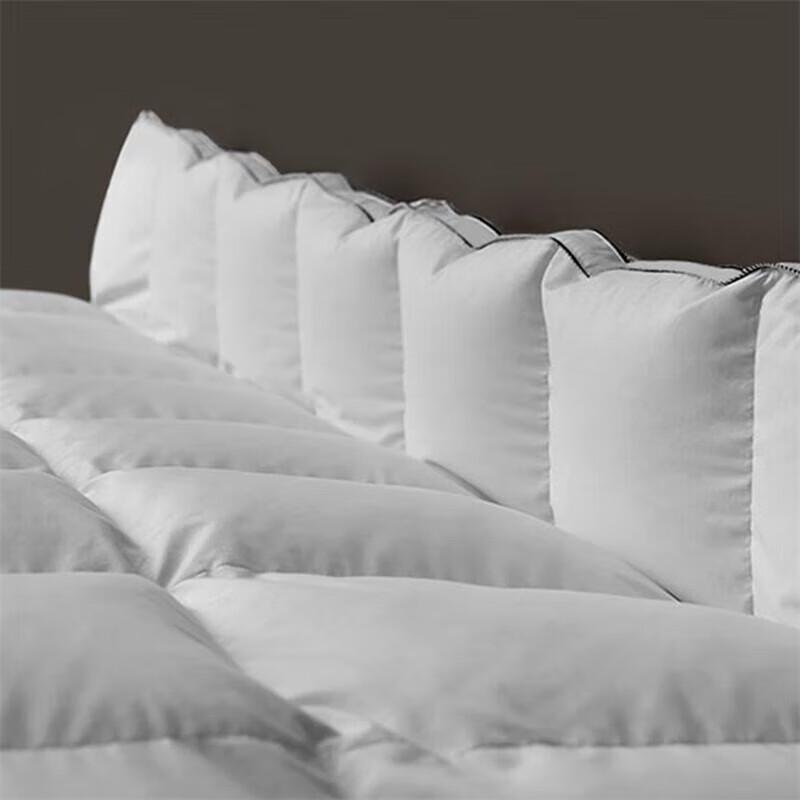 

Kang Er Xin Enjoy Time Series Thickened Warm Fiber Duvet Insert