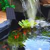2.5W 5V Solar Power Panel Water Pump Brushless Motor Solar Pond Pump Different Nozzles Mini Water Fountain for Garden Pool Pond