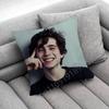 T-Timothée Chalamet Kissenbezug für 50cm 30cm 55cm 45cm 40cm quadratische Bettkissenbezug Hülle
