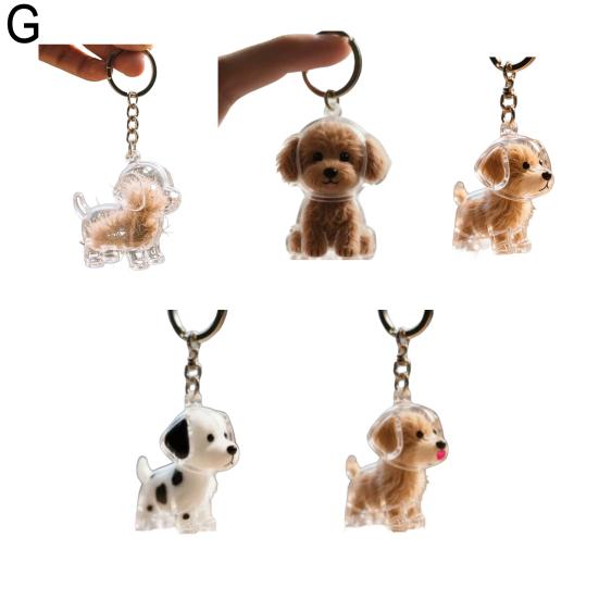 2/5Pcs Pet Hair Storage Box Keychain Portable Pet Memory Holder Secret Fur Collection Box Pet Hair Souvenir Box Keyring