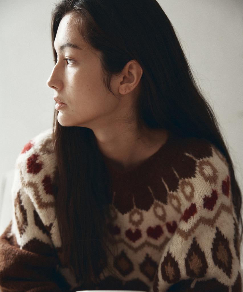 Banwonateullie Kn4277 Raglan Jacquard Knit_Brown