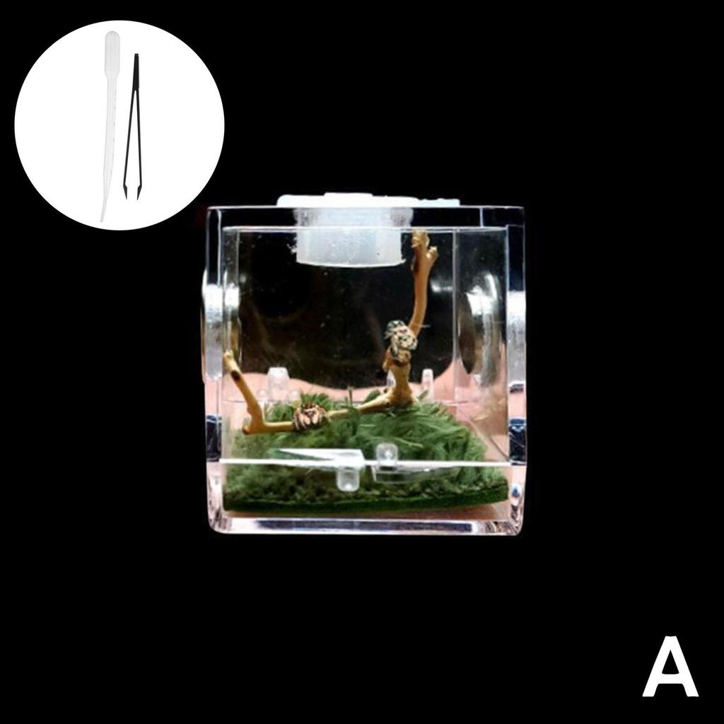 Mini Reptiles Chovný Box Průhledný Akrylový Klec Habitat Krmný Box na Hmyz Terárium Nádrž Neunikavý Pro Hmyz Skákavka