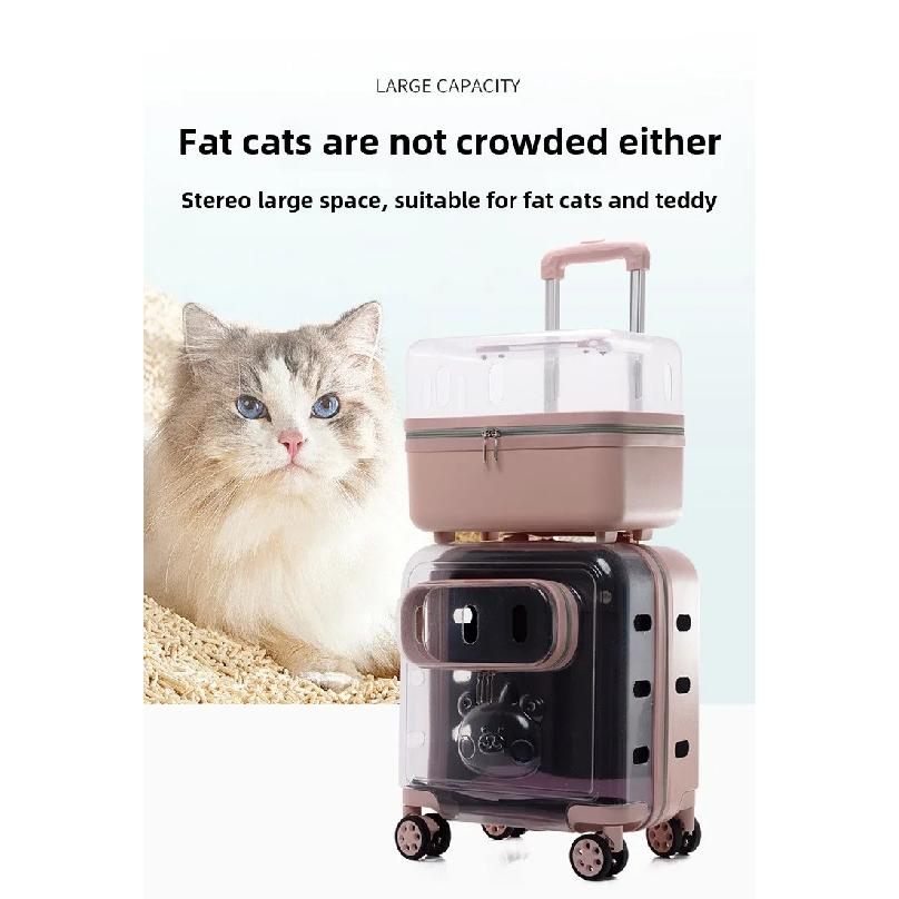 Portable Cat Bag 2 Layers Design for Outdoor Pet Trolley Case Transparent Panoramic Transport Cage Multifunctional Cat Handbag