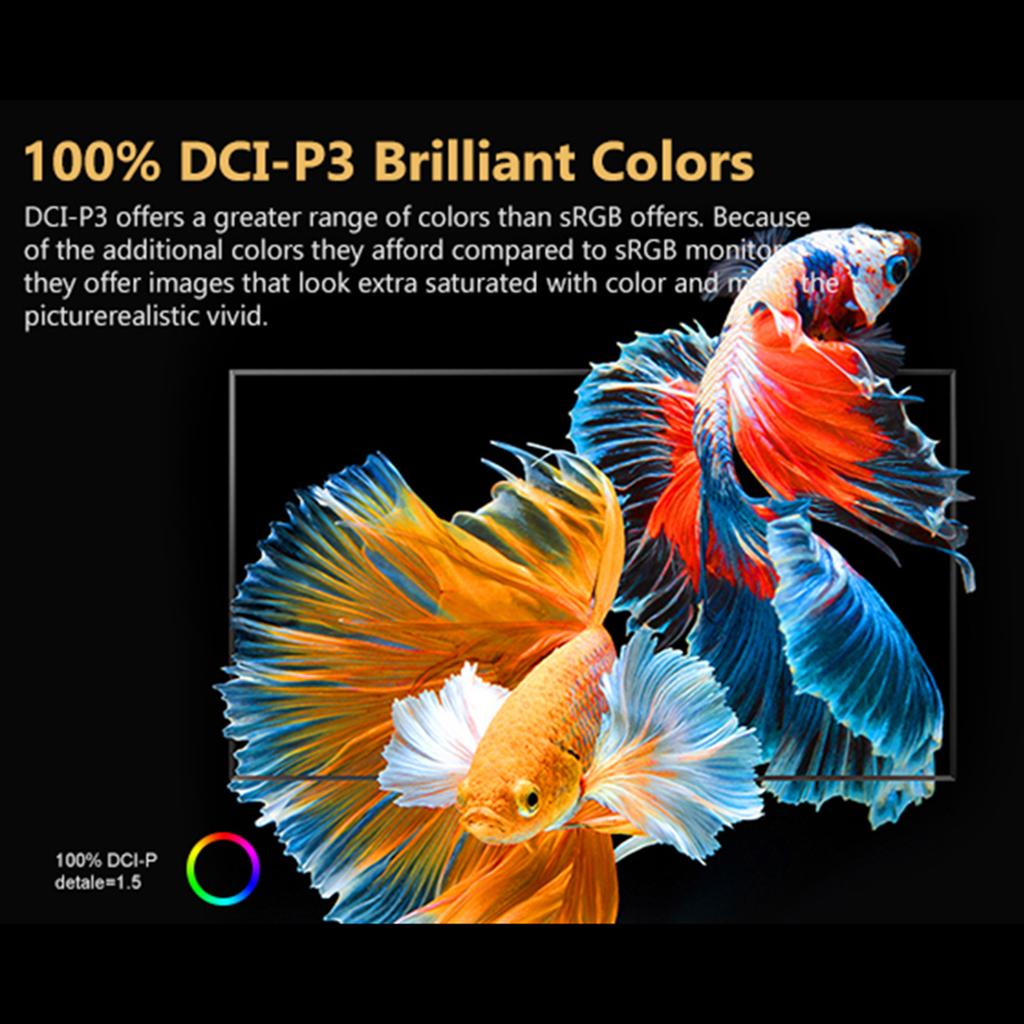 18.5-Inch Portable Monitor 1080P   Screen External Display Extended Monitor Compatible with  CelsiusPS4CelsiusXBOX   Rate 100Hz 100% SRGB