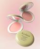Freshian [new Color Arrived] Pressian Egg Like Cream Blush