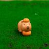 Mini Capybara Ornament Kapibala Crocodile Doll Micro Landscape Decoration Dollhouse Miniature Pond Decor Toy